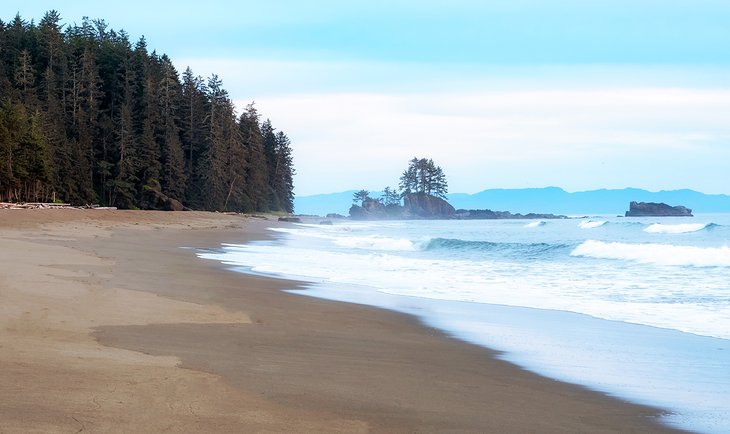 A beach along the West Coast Trail