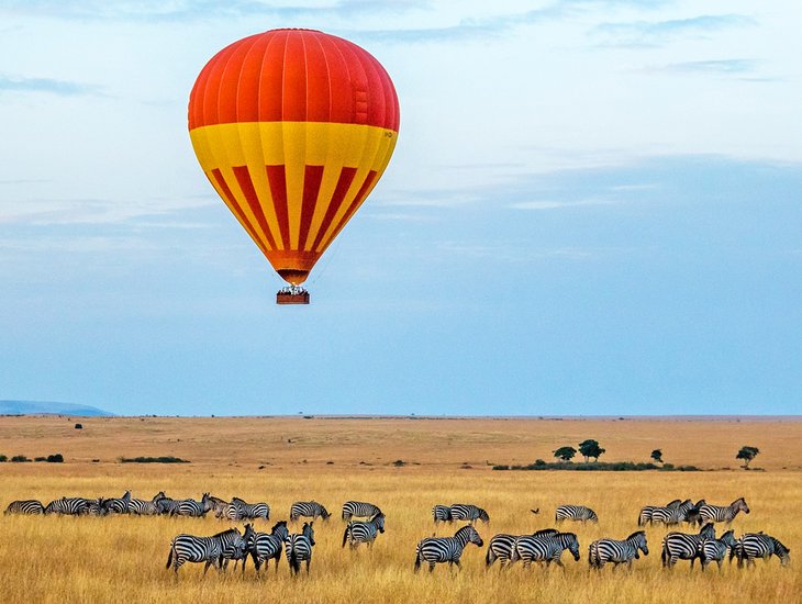 Zebras and a hot air balloon on the Serengeti