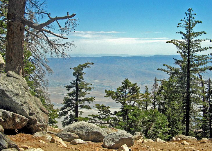 Desert View Trail