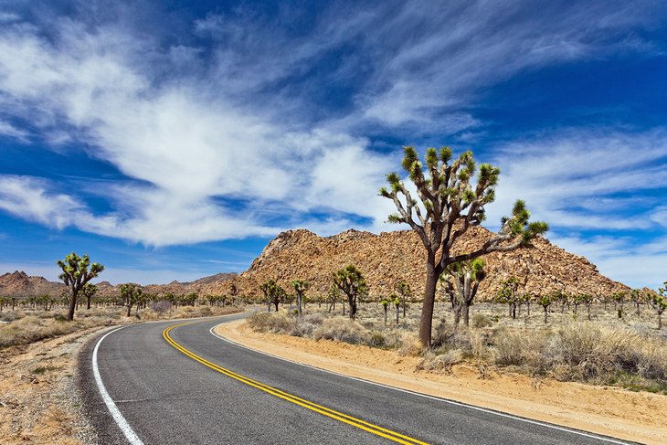 Road through Joshua Tree National Park