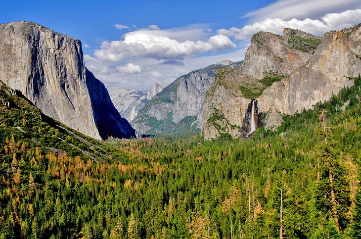 Yosemite National Park