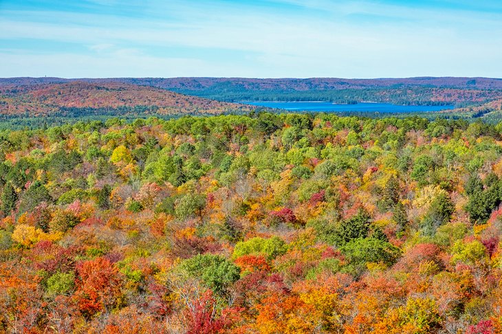 Fall colors along the Centennial Ridges Trail