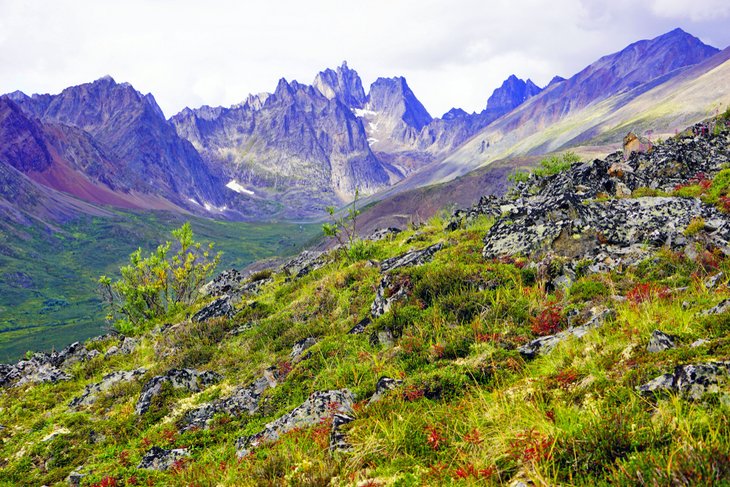 View from the Grizzly Lake Trail