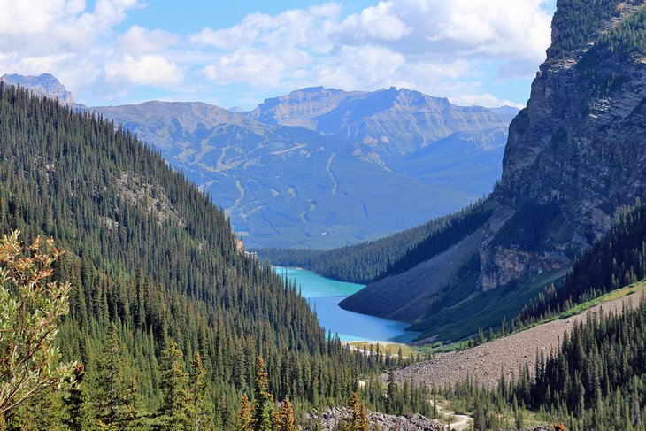 View of Lake Louise from the Plain of the Six Glaciers trail