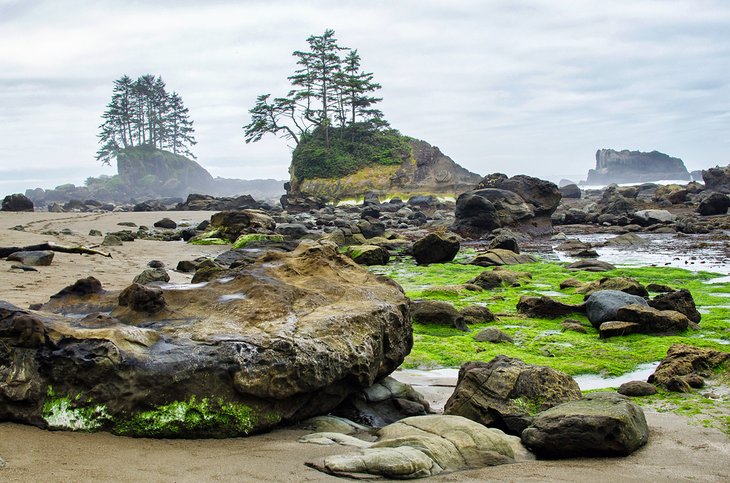 Rocky beach on the West Coast Trail, Vancouver Island