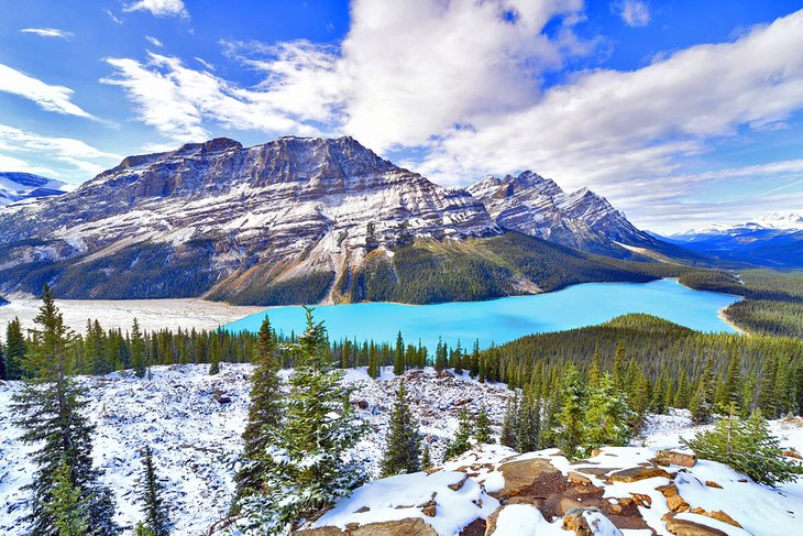 Peyto Lake in Banff National Park