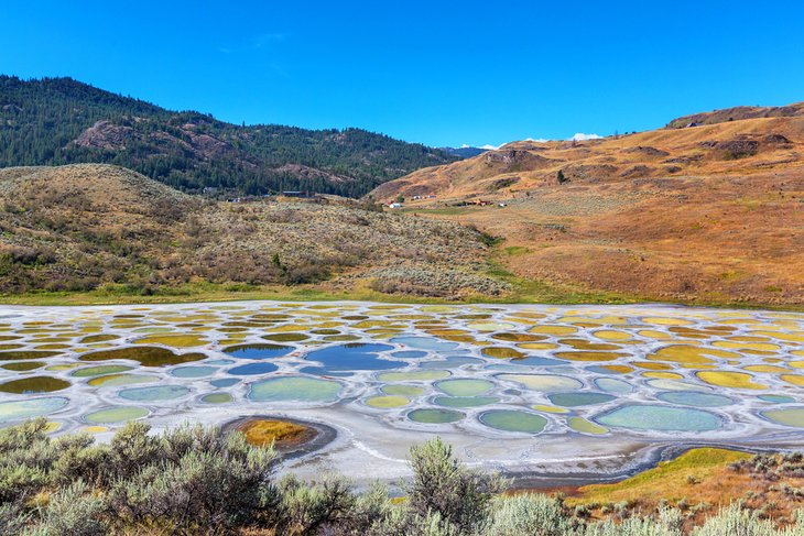 Spotted Lake in British Columbia