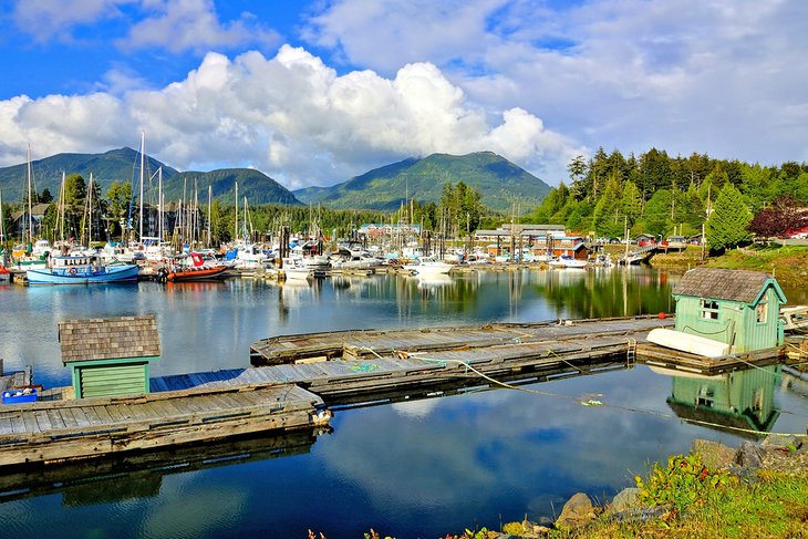 Ucluelet harbor