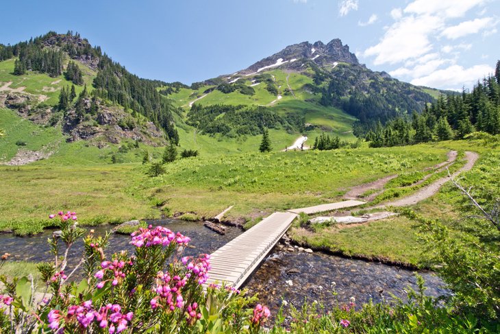 Trail up Mount Cheam