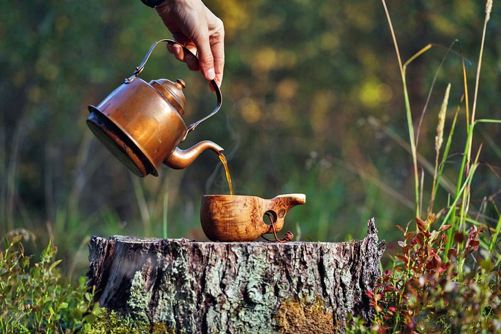 Old teapot in the forest