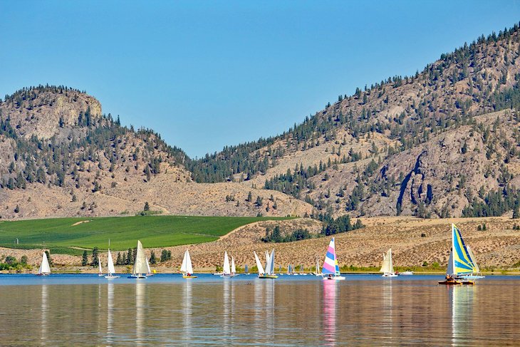 Sailboats on Osoyoos Lake