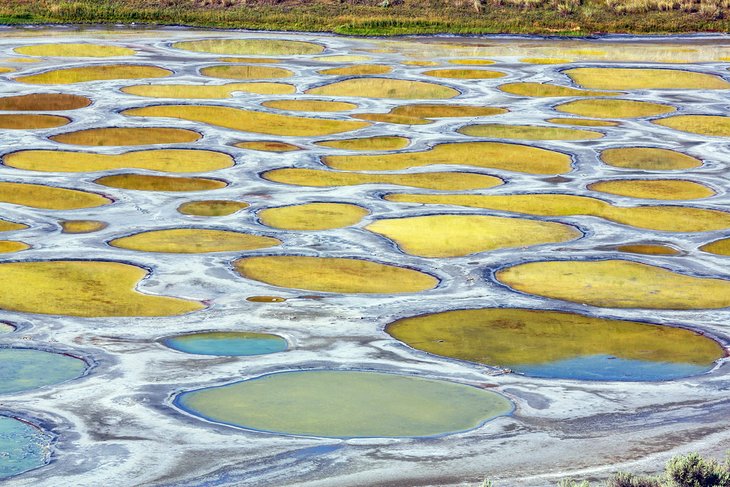 Spotted Lake