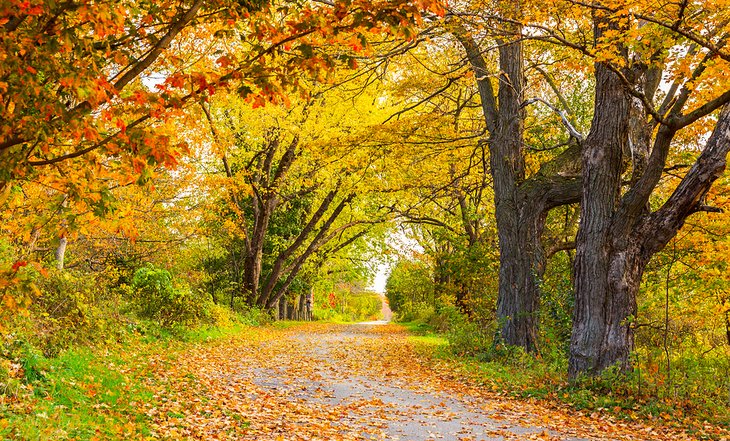 Autumn in Prince Edward County