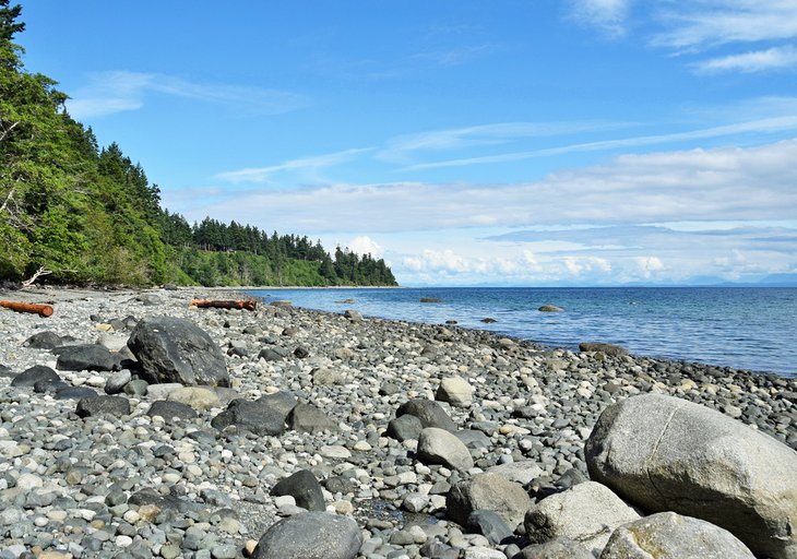 Seal Bay Nature Park, Courtenay