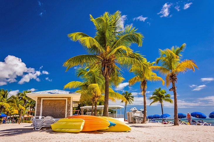 Palm trees and kayaks on the beach in Key West