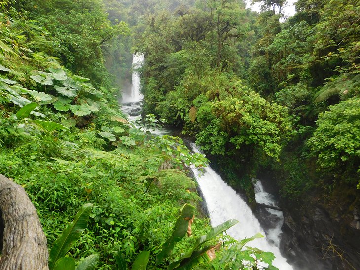 La Paz Waterfall