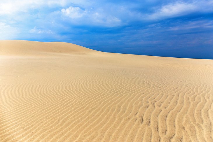 Sand dunes at the Rabjerg Mile