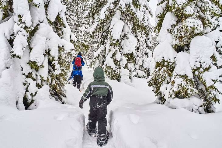 A family snowshoeing in Rovaniemi