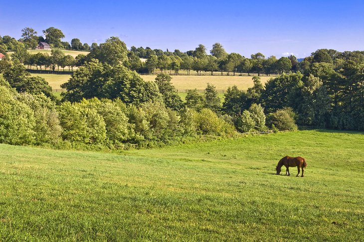 Normandy Countryside