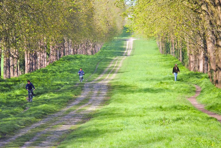 Bicycle Path in the gardens of Versailles