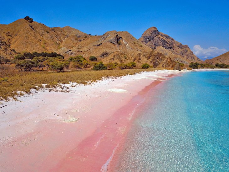 Pink Beach on Komodo Island