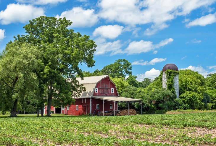 Old barn in Aurora, NY