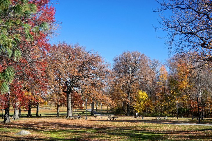 Pelham Bay Park