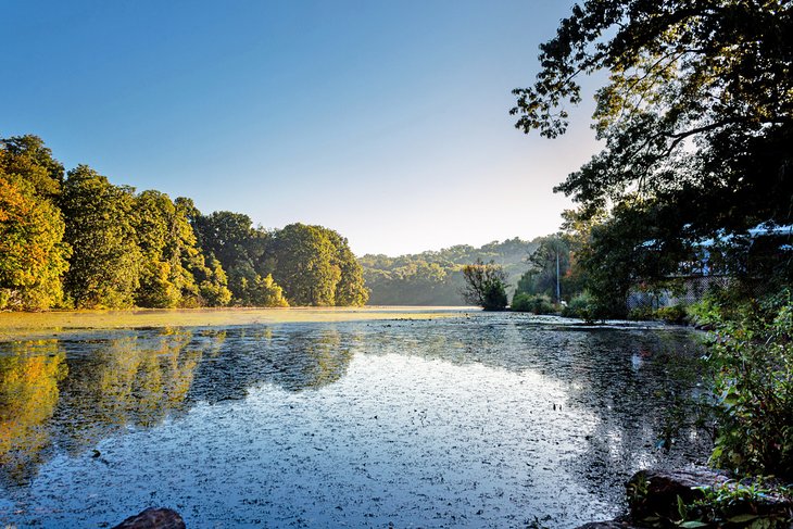 Early morning in Van Cortlandt Park