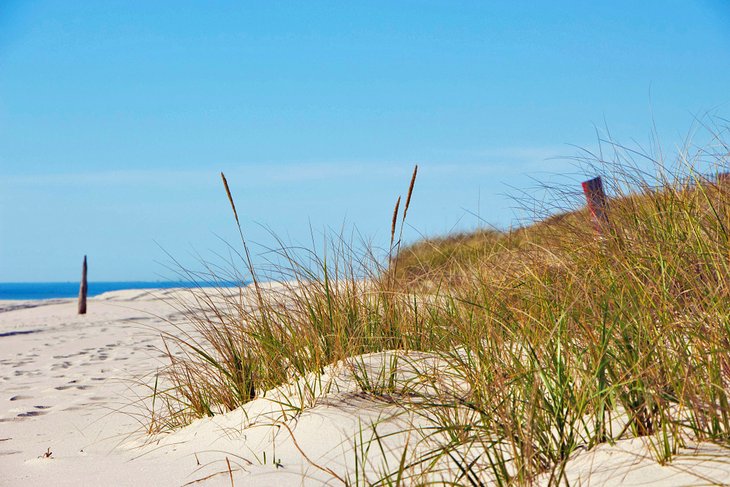 12 playas mejor valoradas en los Hamptons