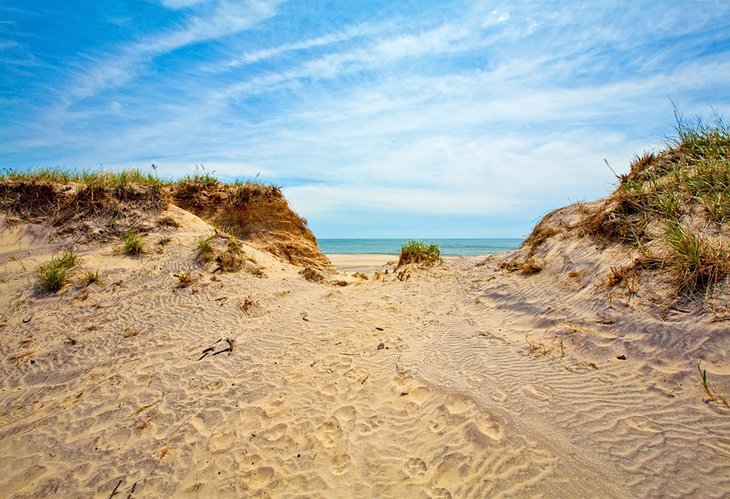 12 playas mejor valoradas en los Hamptons