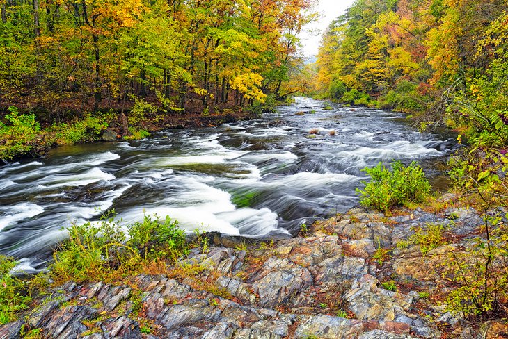 Mountain Fork River in Beavers Bend State Park