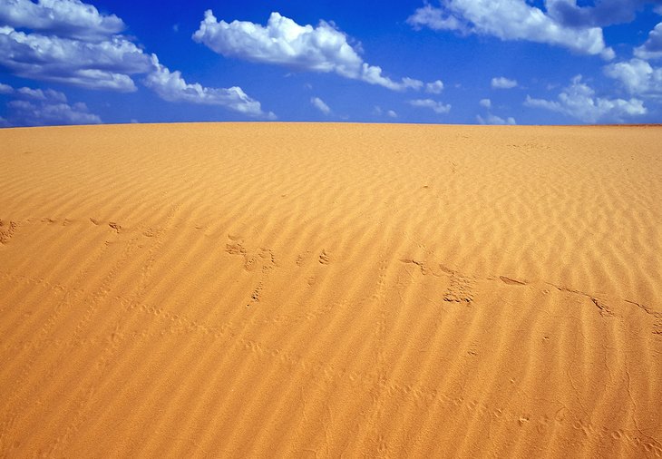 Dunes de sable dans le parc d'État de Little Sahara