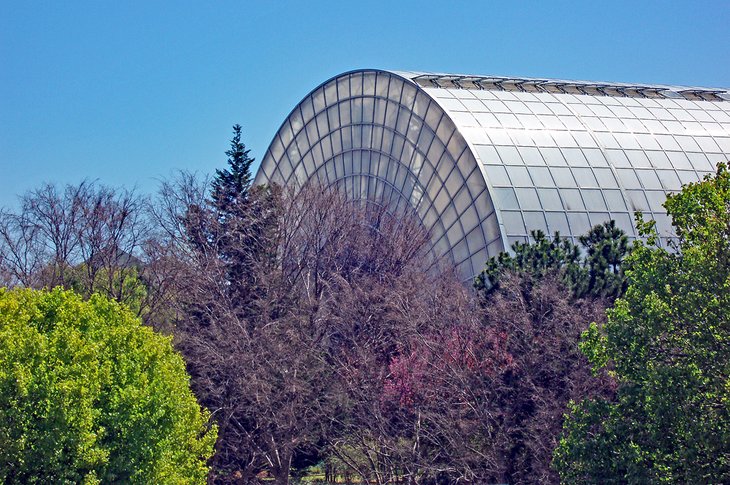 Myriad Botanical Gardens