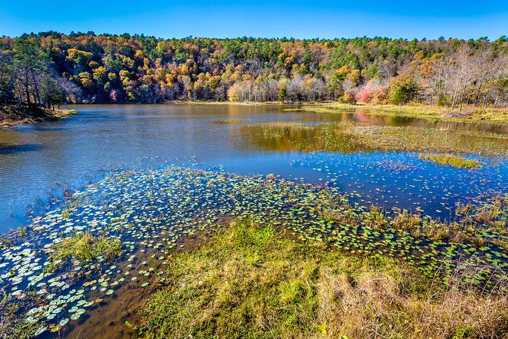 Fall colors on a lake in Robbers Cave State Park