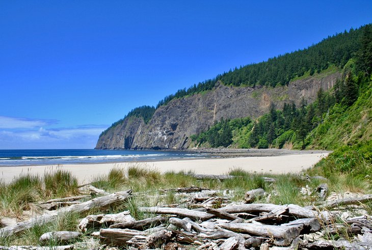 Cape Lookout State Park