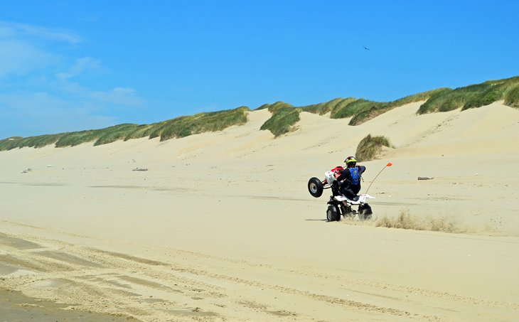 OHV rider in the South Jetty Sand Dunes Area of Florence