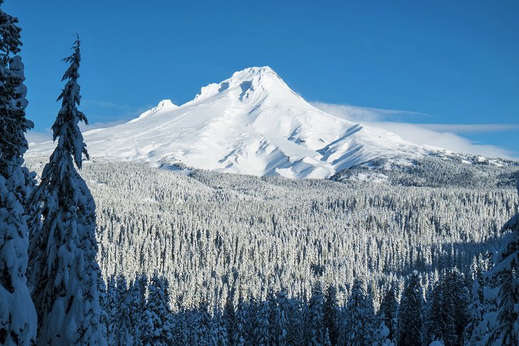 Snow covered Mount Hood