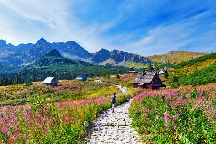 Path through the Gasienicowa Valley in Tatra Mountains