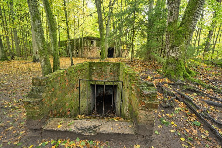 Hitler's Wolf's Lair