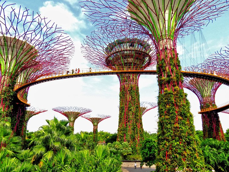 Singapur en imágenes: 15 hermosos lugares para fotografiar