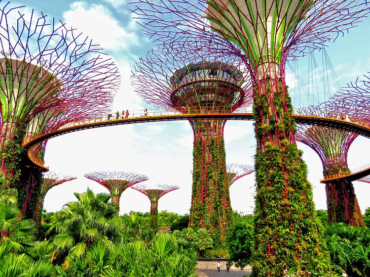 Gardens by the Bay