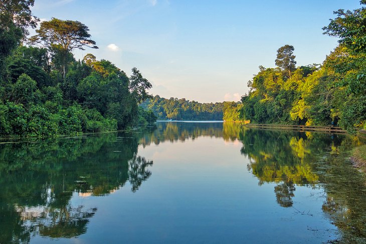 MacRitchie Reservoir