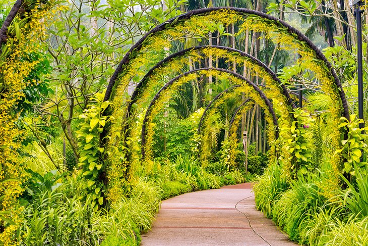 Singapur en imágenes: 15 hermosos lugares para fotografiar