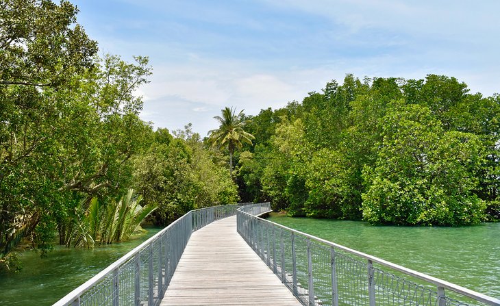 Singapur en imágenes: 15 hermosos lugares para fotografiar