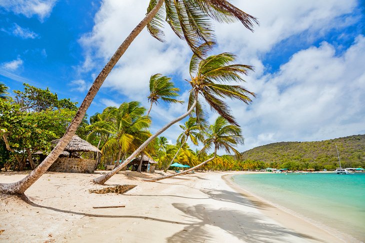 White-sand beach and palms on Mayreau Island