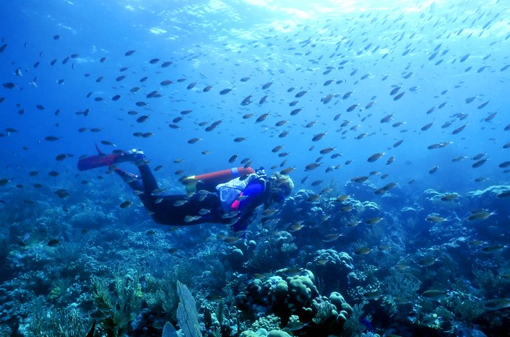 Diver in St. Vincent and the Grenadines
