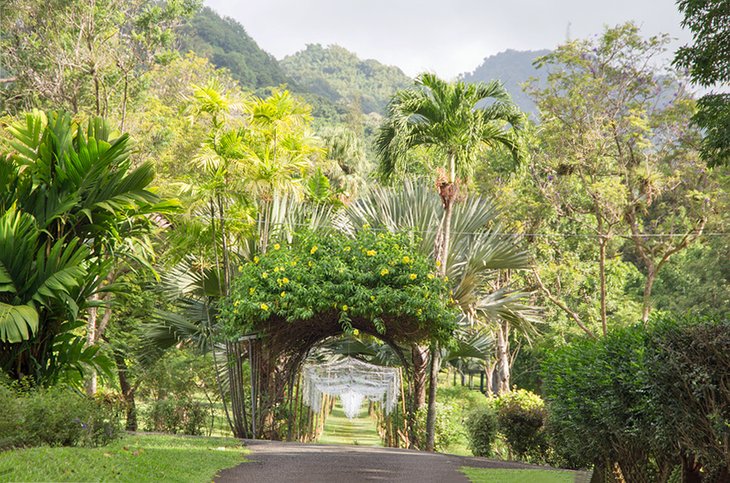 St. Vincent and the Grenadines Botanic Gardens
