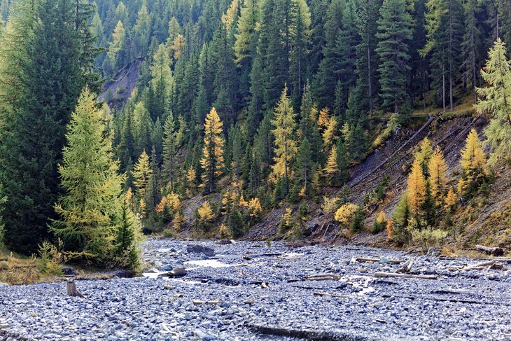 Landscape in the Val Trupchun