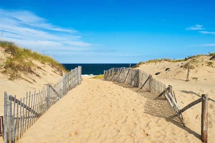 Beach path on Cape Cod