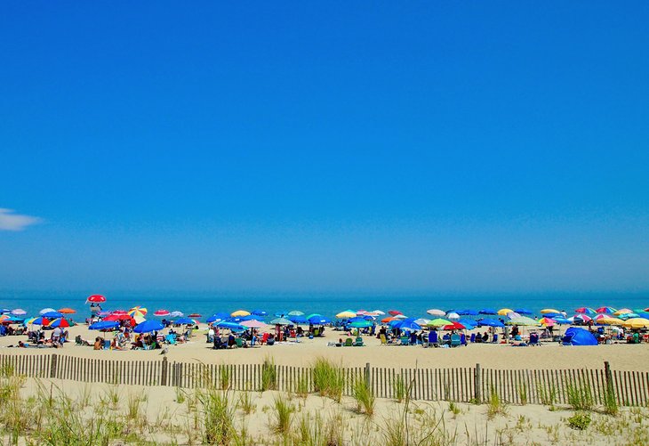 Summertime at Rehoboth Beach